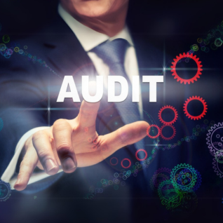 Energy Audit Solutions